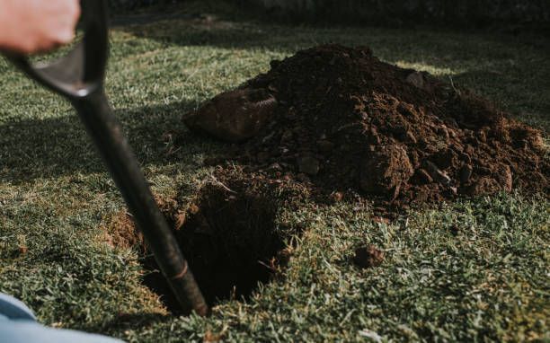A person is digging a hole in the grass with a shovel.