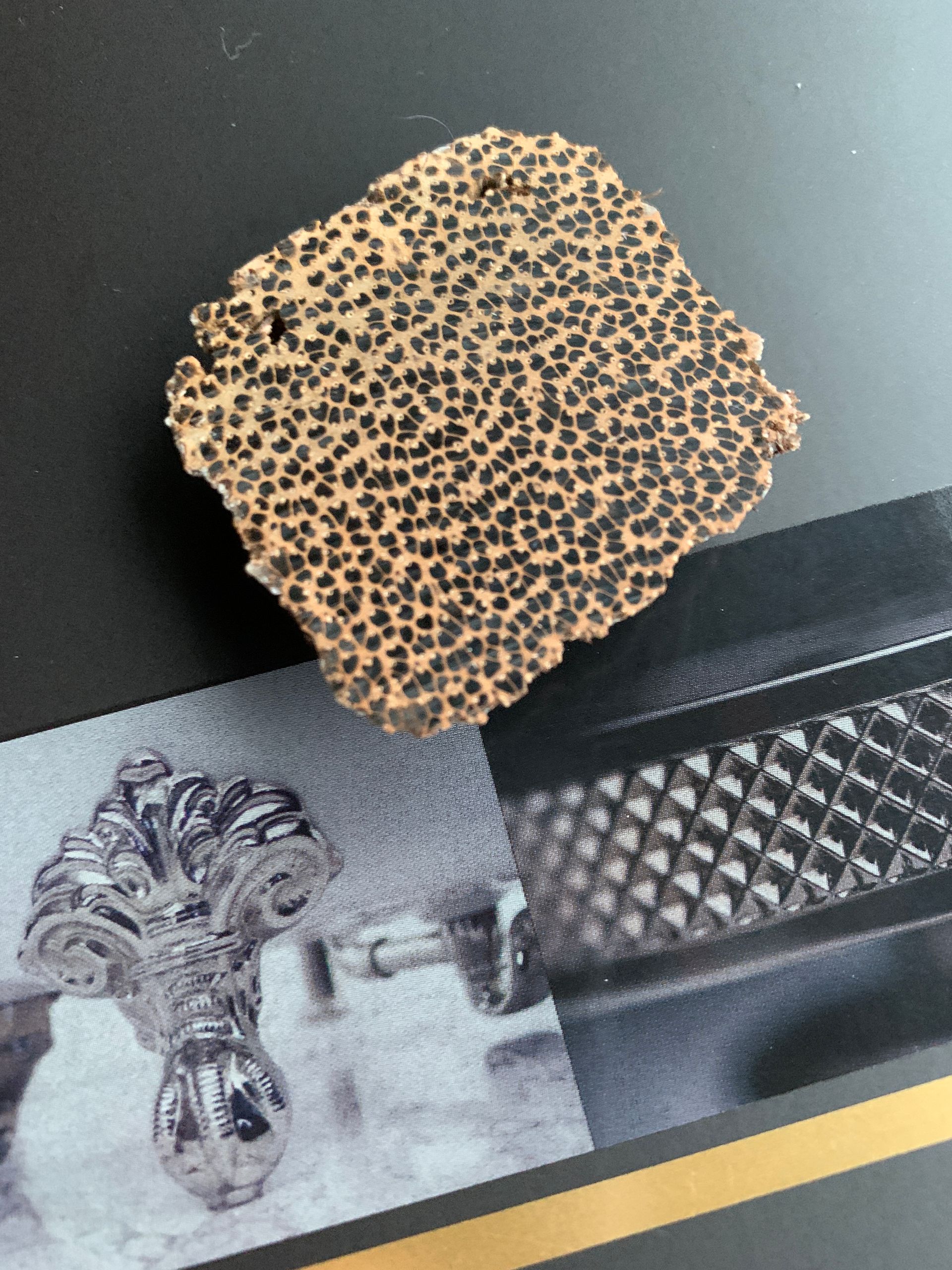 A room with wooden walls and a fan on the floor.