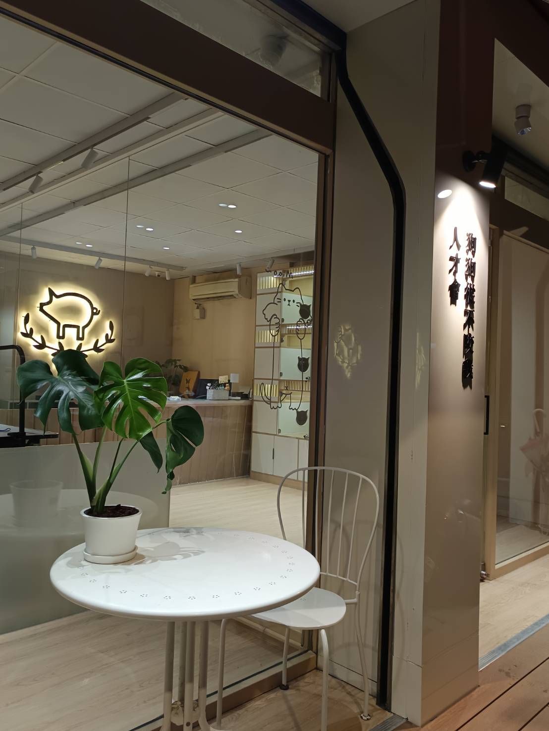 土城區寵物美容/寵物旅館/寵物住宿/豬窩寵物美容旅館住宿/貓咪住宿