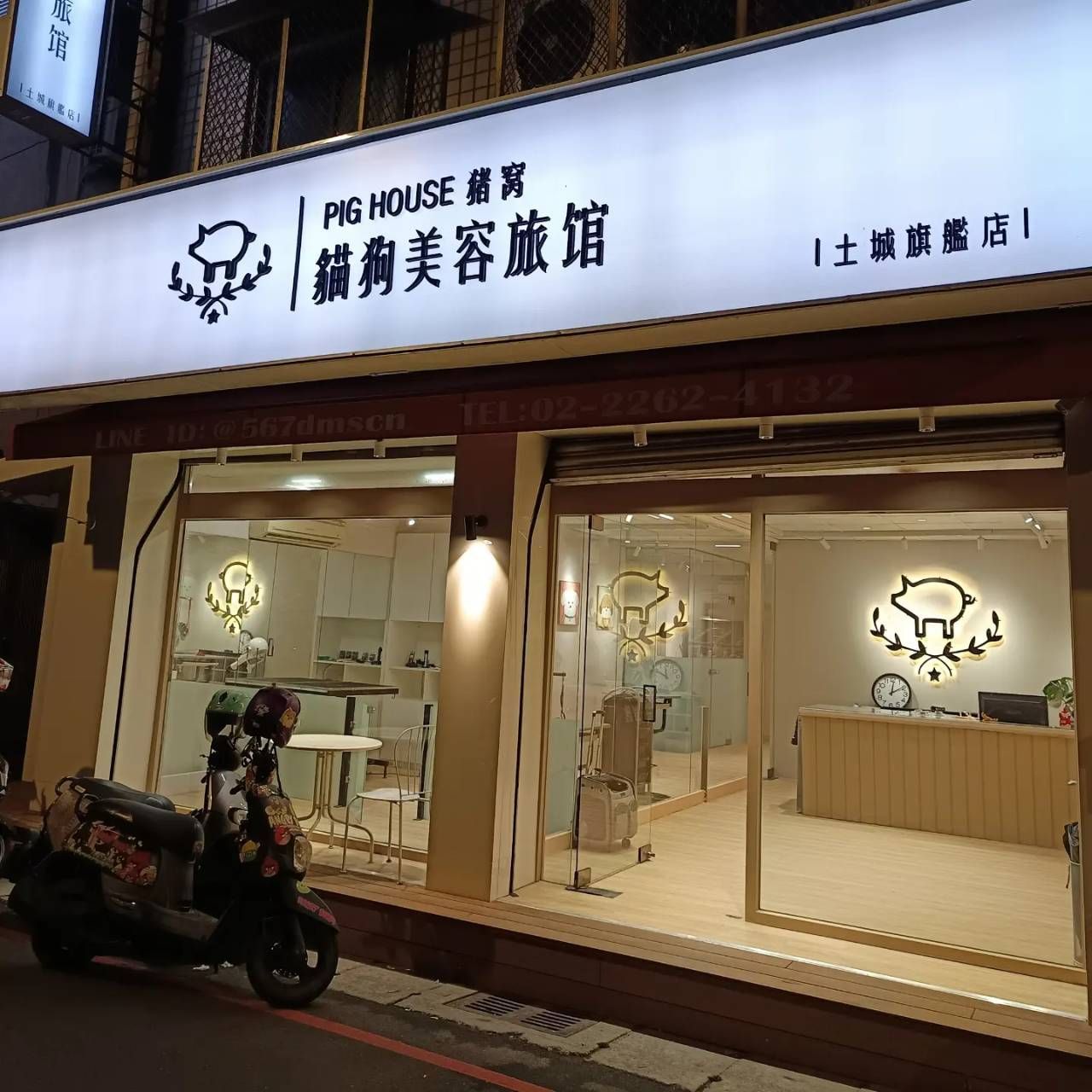土城區寵物美容/寵物旅館/寵物住宿/豬窩寵物美容旅館住宿/貓咪住宿