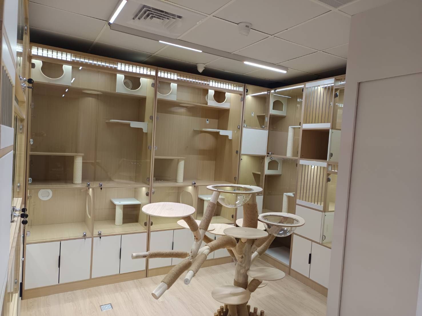 土城區寵物美容/寵物旅館/寵物住宿/豬窩寵物美容旅館住宿/貓咪住宿