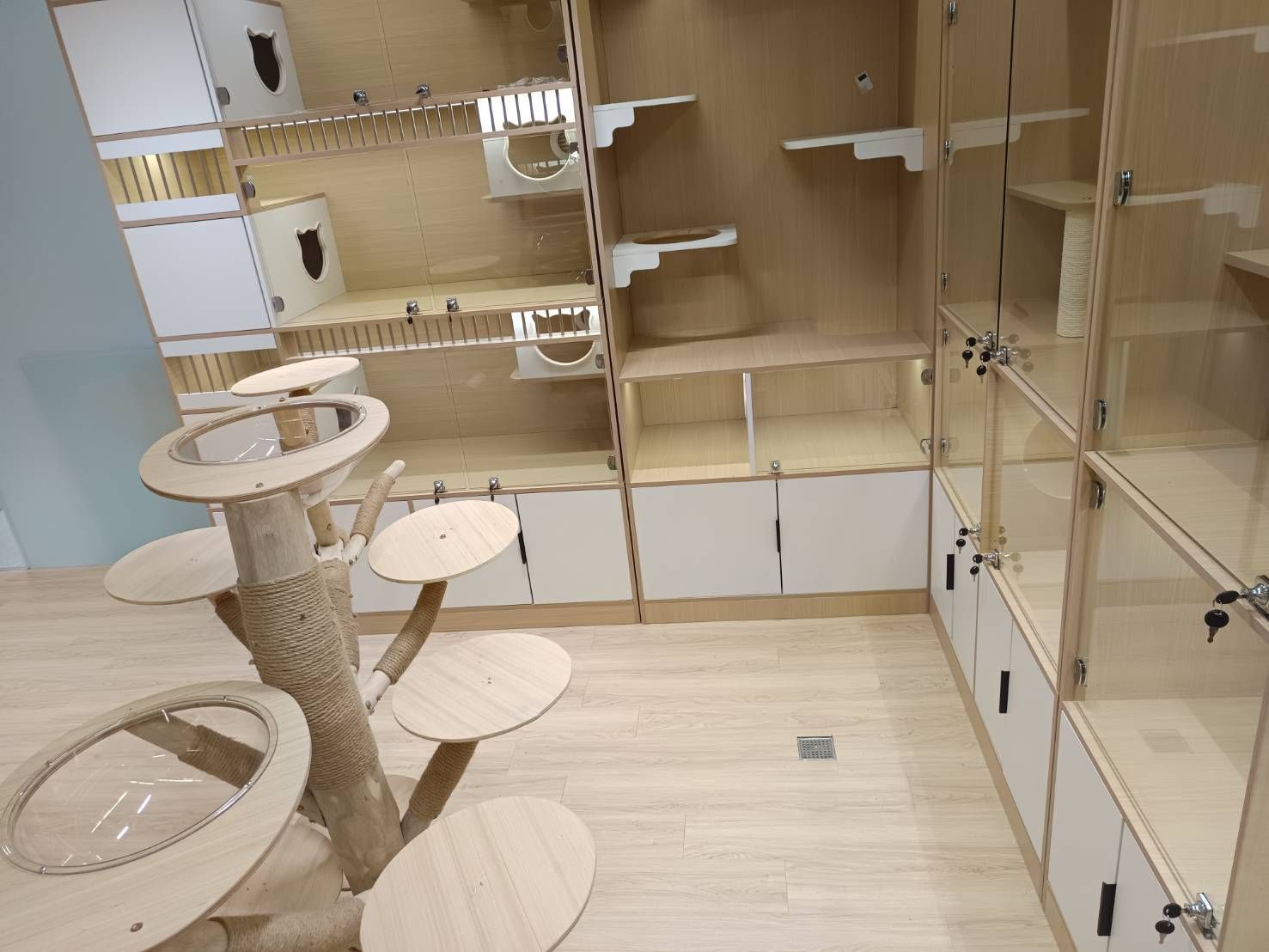 土城區寵物美容/寵物旅館/寵物住宿/豬窩寵物美容旅館住宿/貓咪住宿