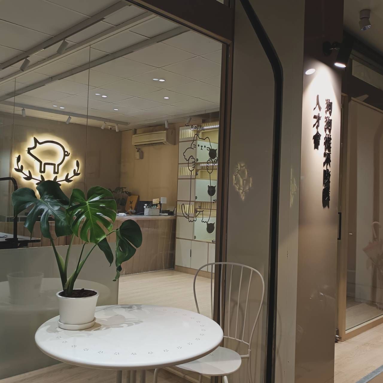 土城區寵物住宿/寵物旅館