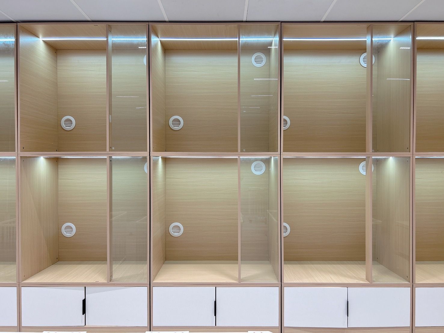 土城區寵物美容/寵物旅館/寵物住宿/豬窩寵物美容旅館住宿/貓咪住宿