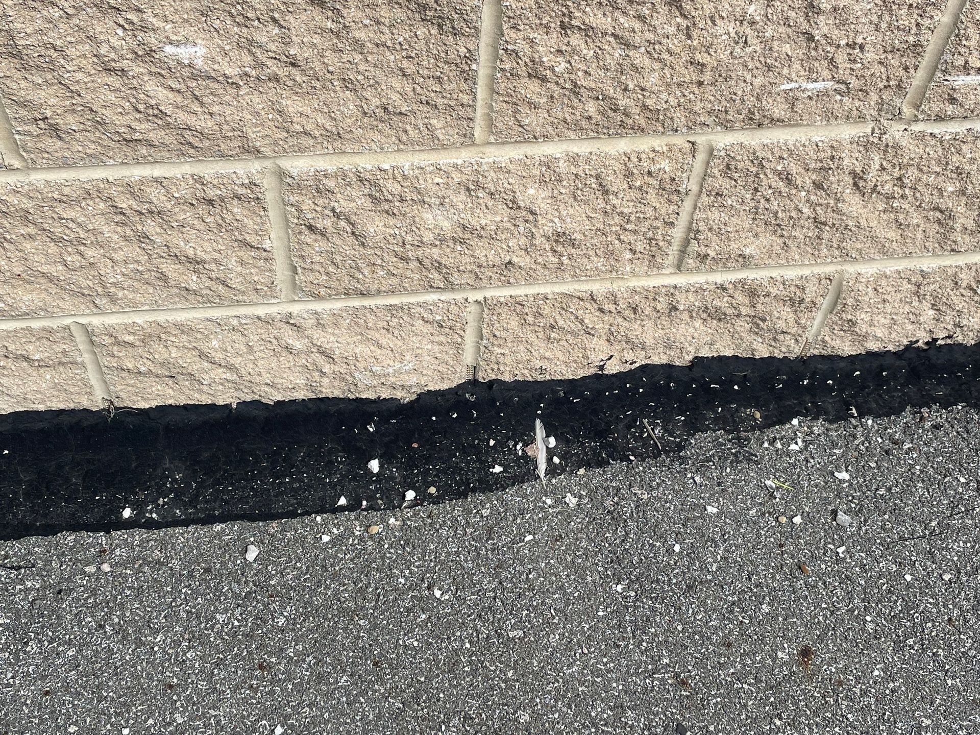 A person is pointing at a concrete surface with their finger.