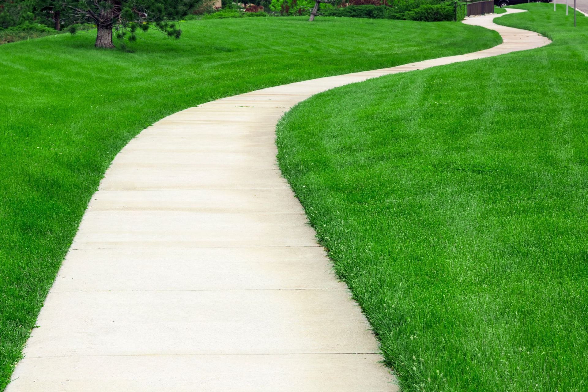 A concrete walkway going through a lush green field.