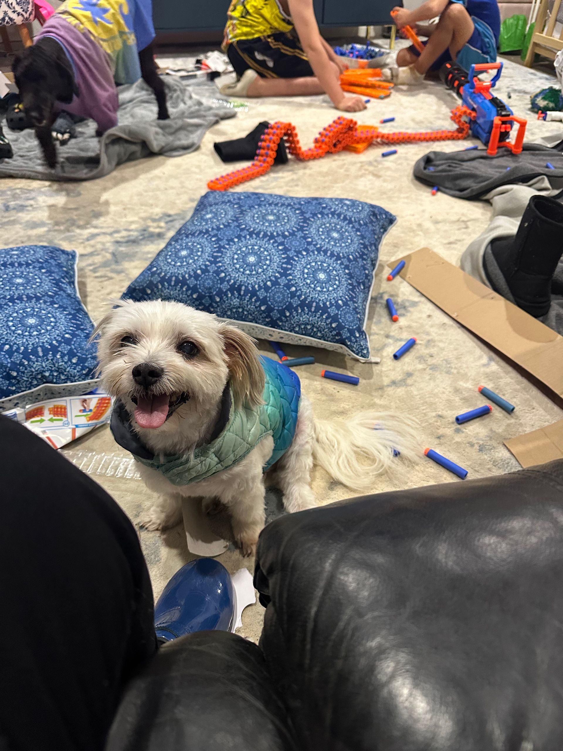 Woman in blazer hands documents to man in wheelchair, both in an office setting.