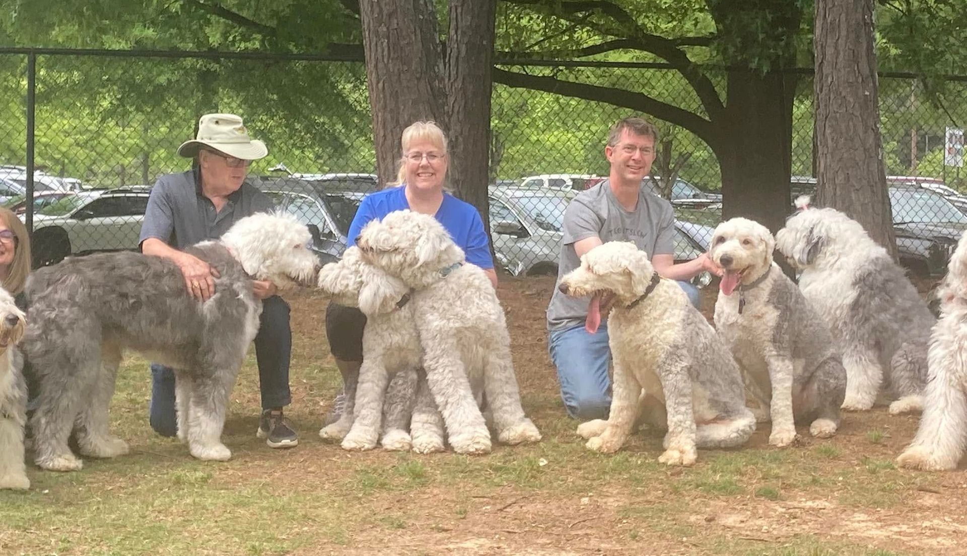 A group of people are posing for a picture with their dogs in a park.