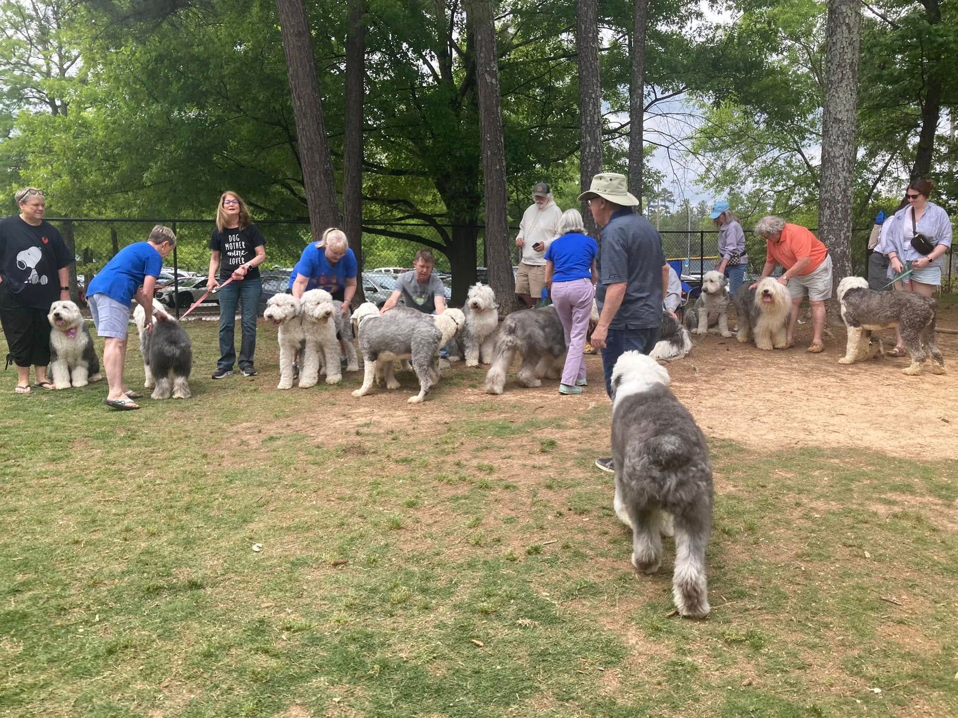 A group of people are standing around a group of dogs in a park.