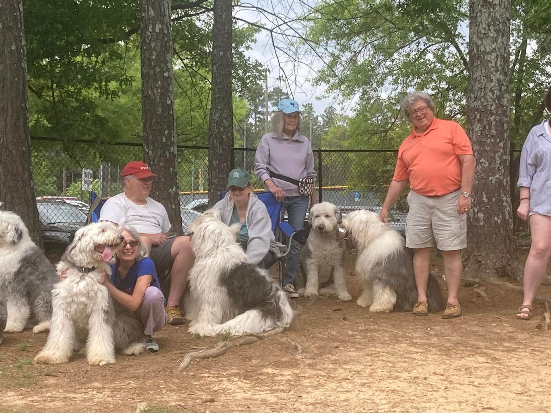 A group of people are posing for a picture with their dogs