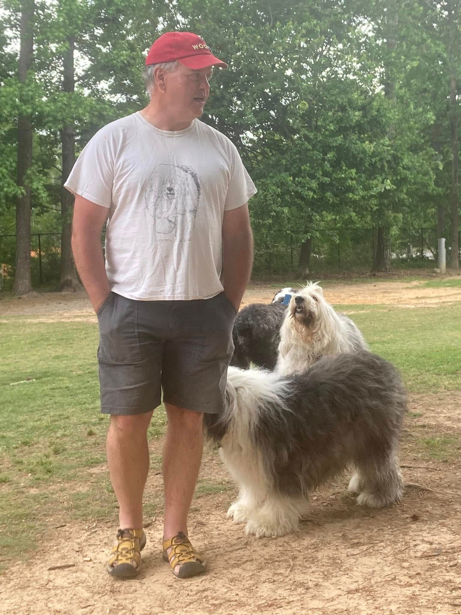 A man is standing next to two dogs in a park.
