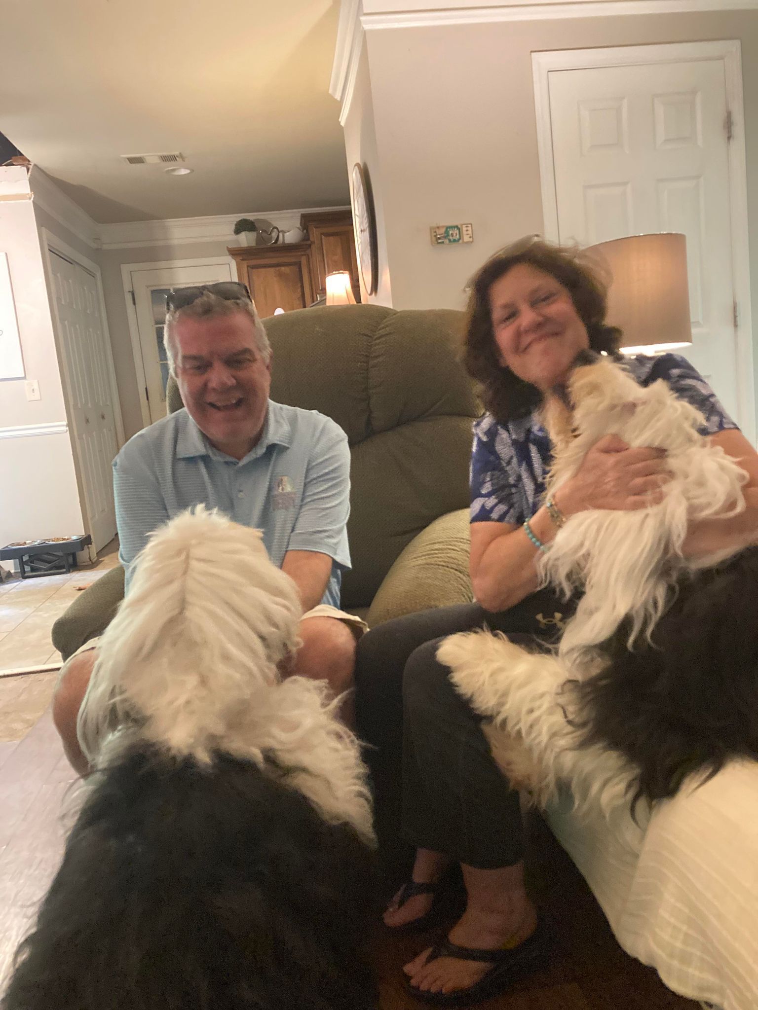 A man and a woman are sitting on a couch with two dogs.