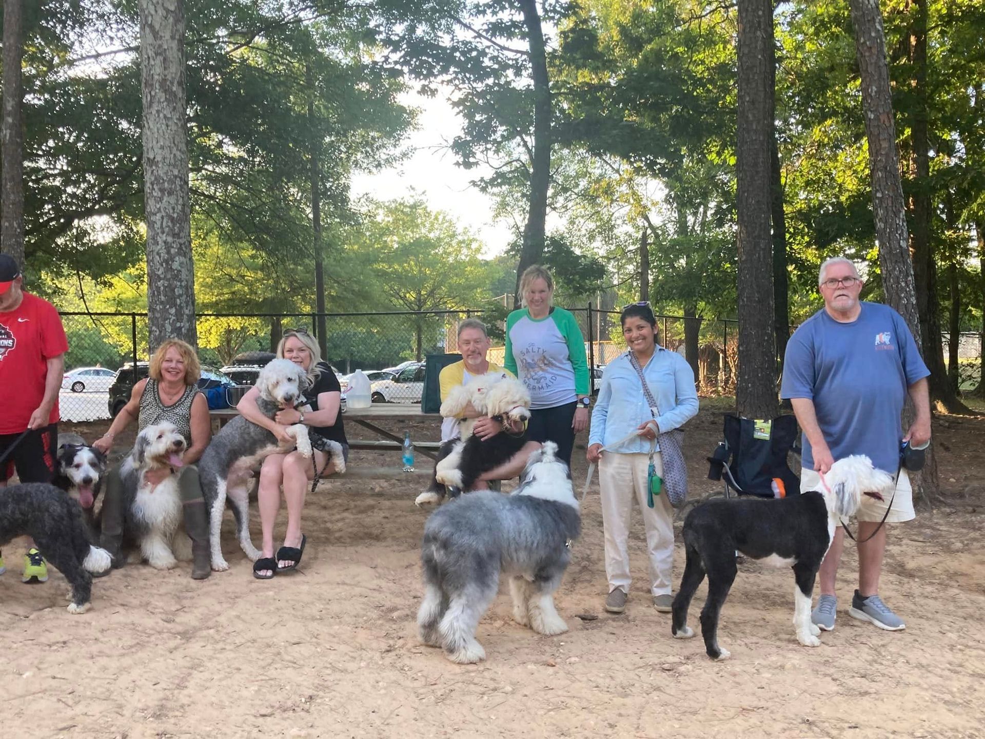 A group of people and their dogs are posing for a picture