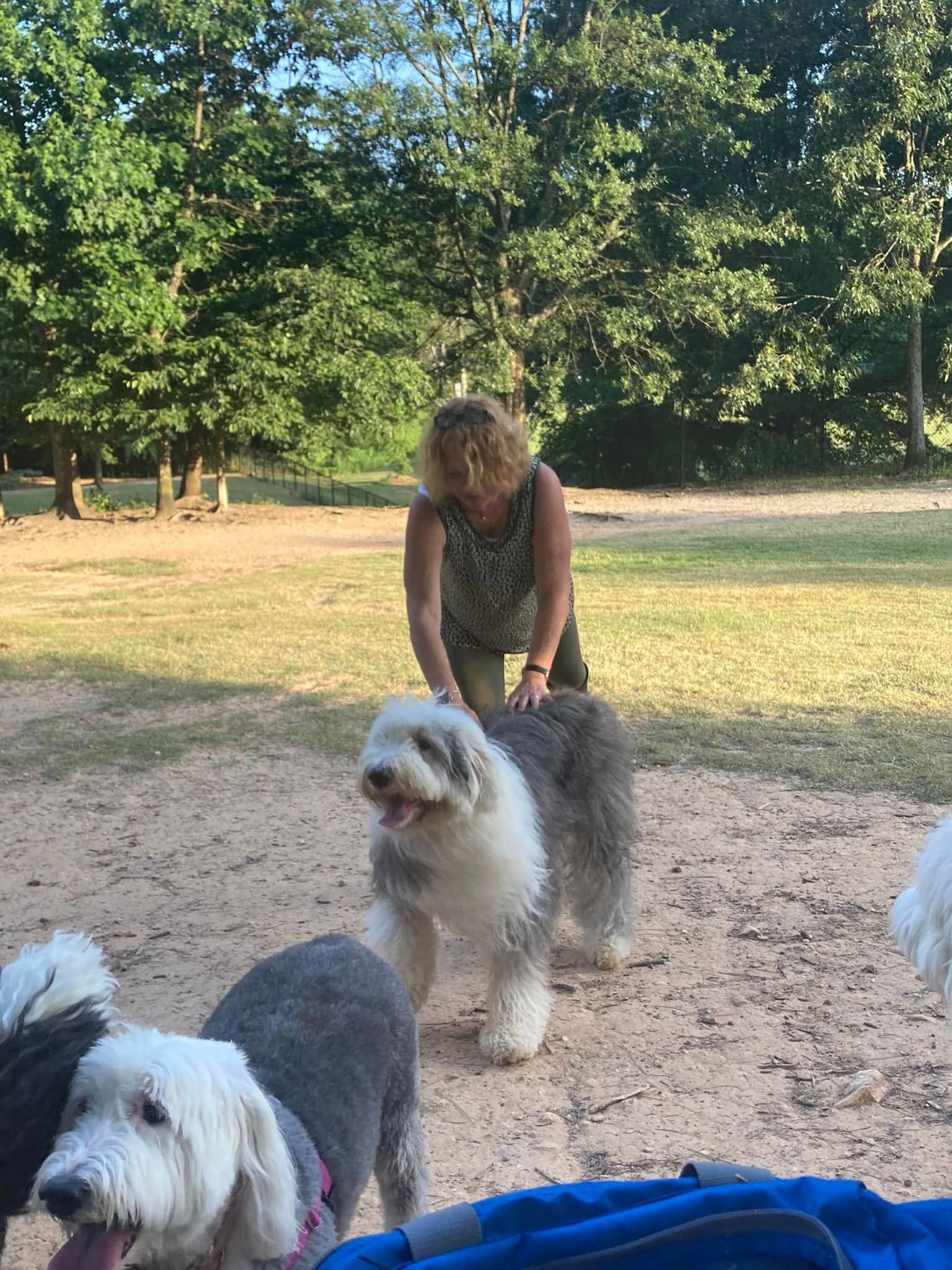 A woman is standing next to two dogs in a park.
