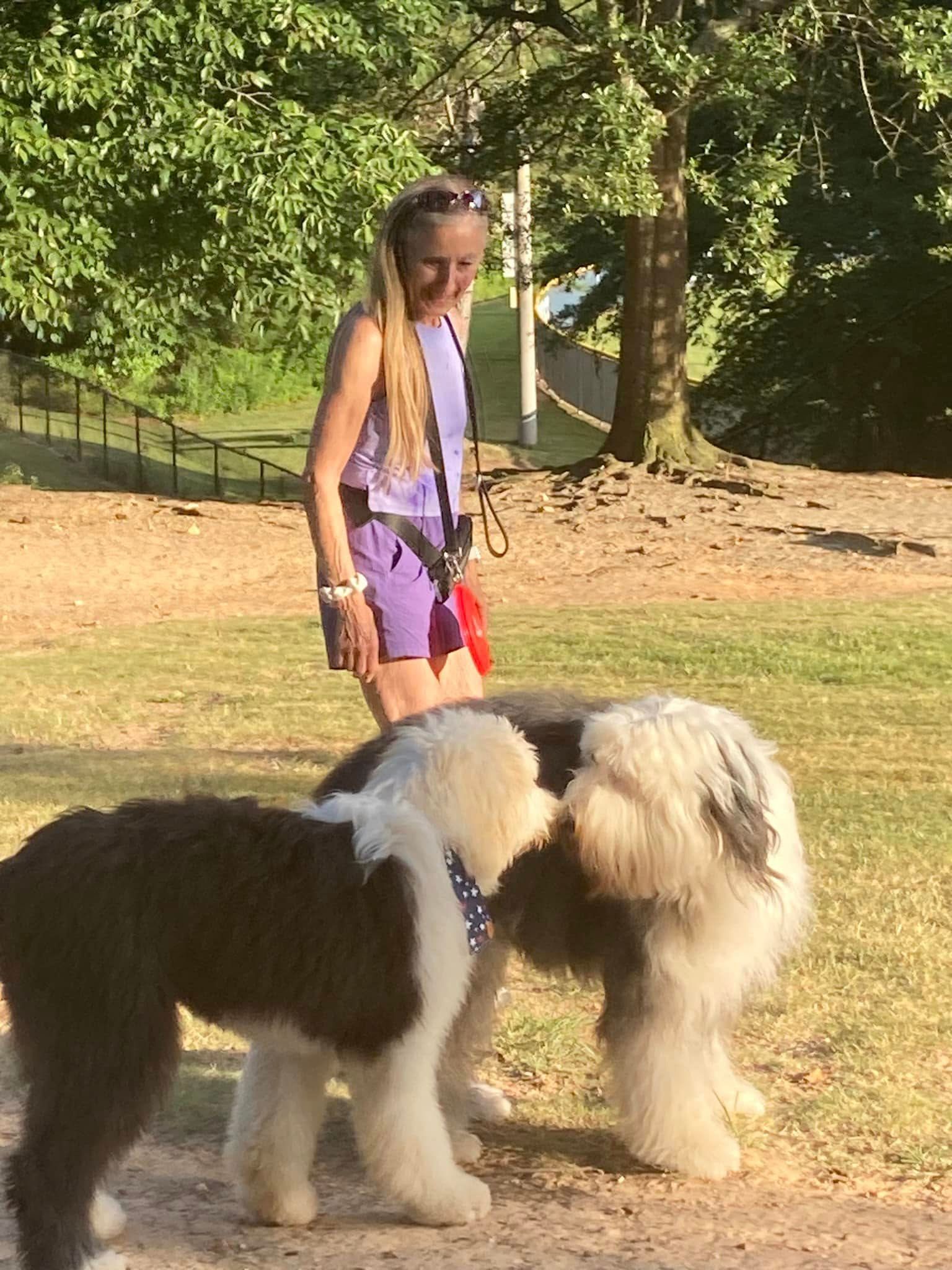 A girl is standing next to two dogs in a park.
