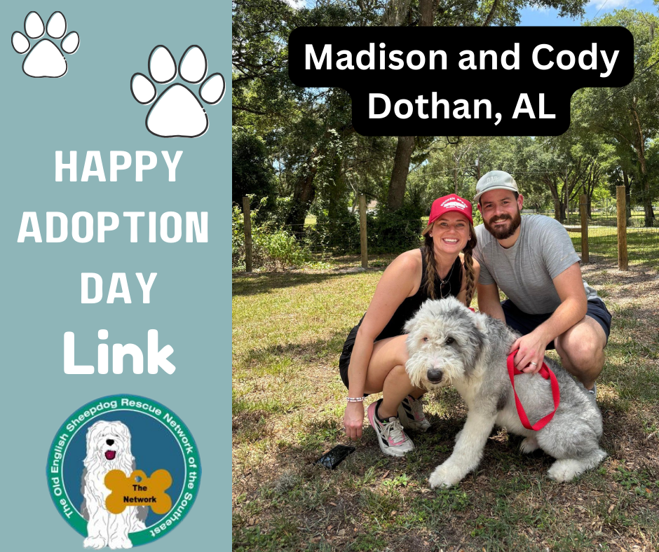 A happy adoption day link for madison and cody dothan al