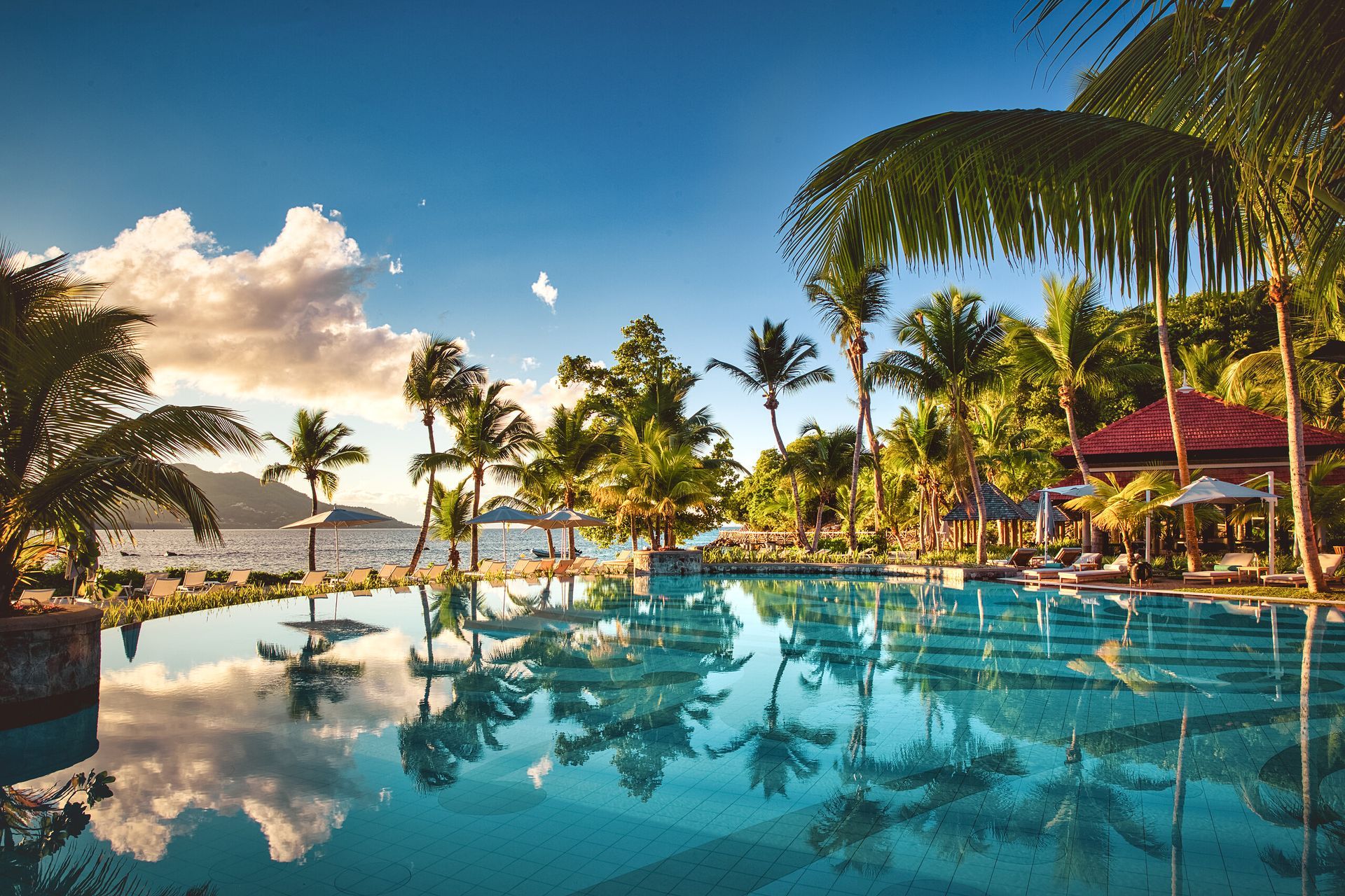 A large swimming pool surrounded by palm trees on a tropical island.