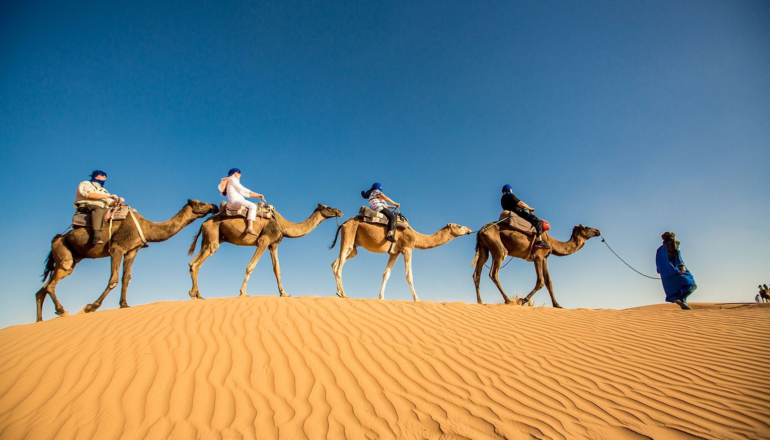 A group of people are riding camels in the desert.