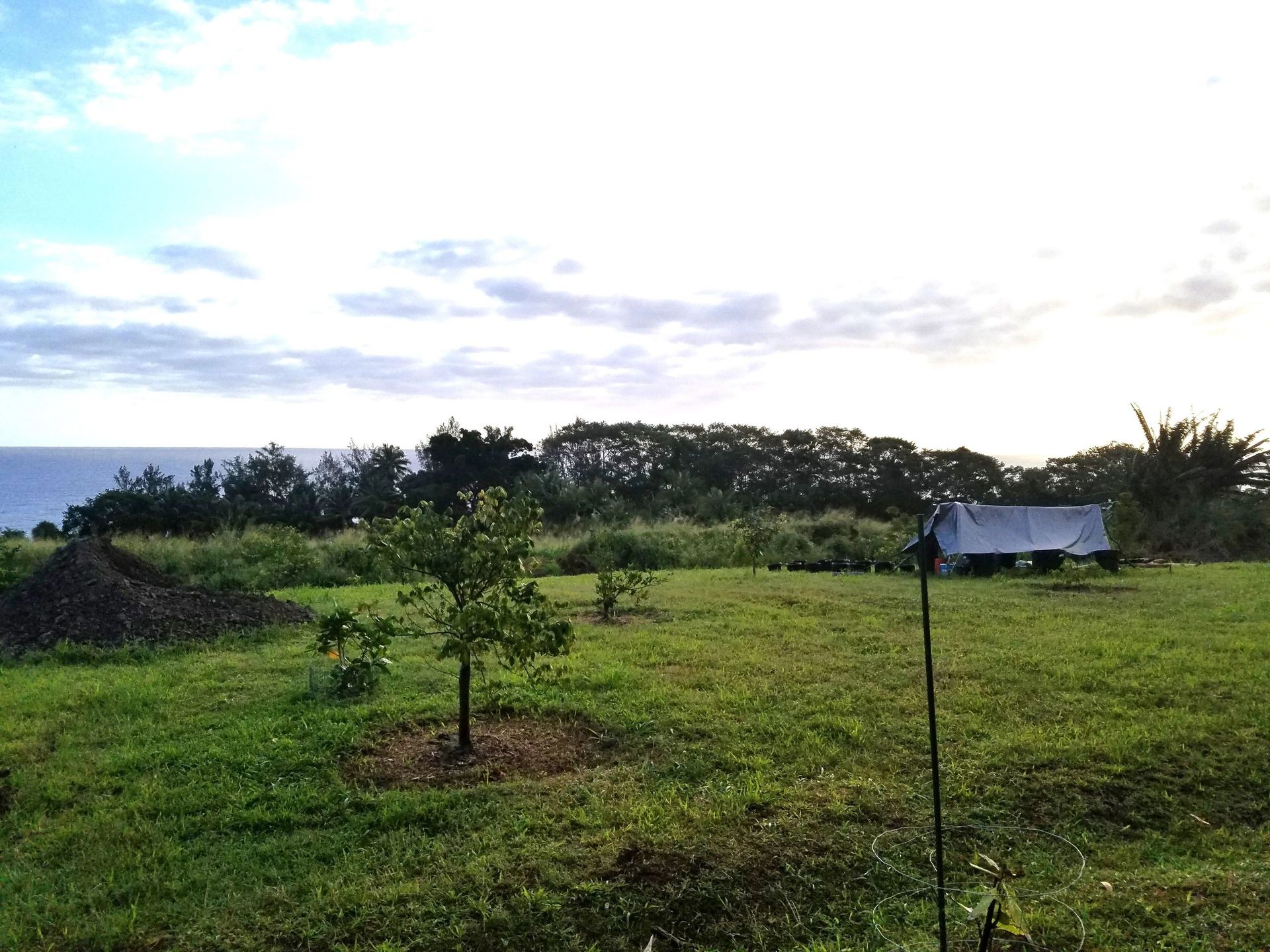 Green field with small trees, foliage, and a view of the ocean under a cloudy sky.