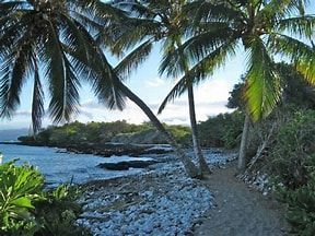 Palm trees frame a rocky coastline path; blue water and sky in the background.