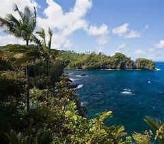 Ocean coastline with lush green vegetation, blue water, and partly cloudy sky.