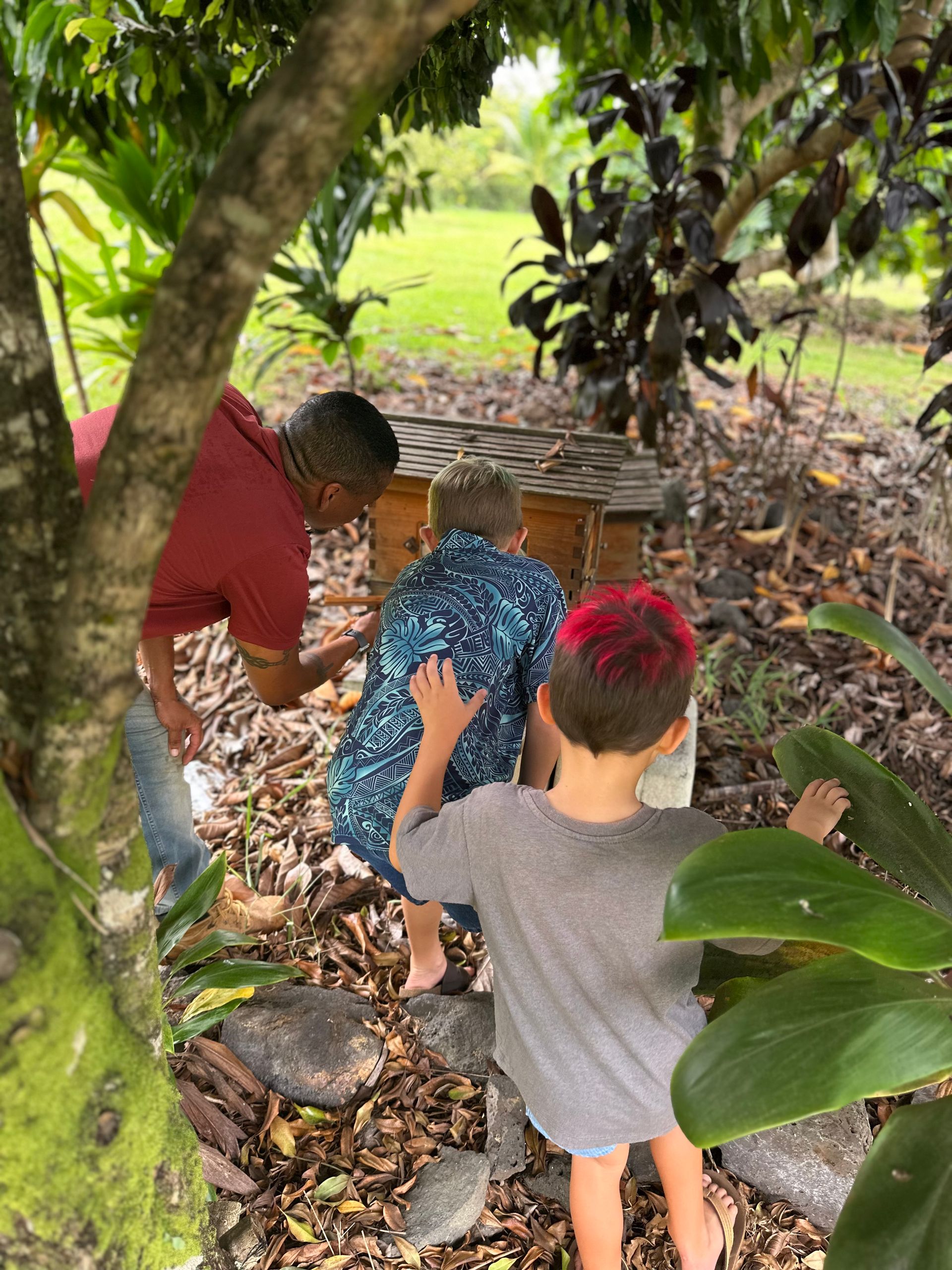 Three people examine a wooden beehive in a green, outdoor setting. One has pink hair.