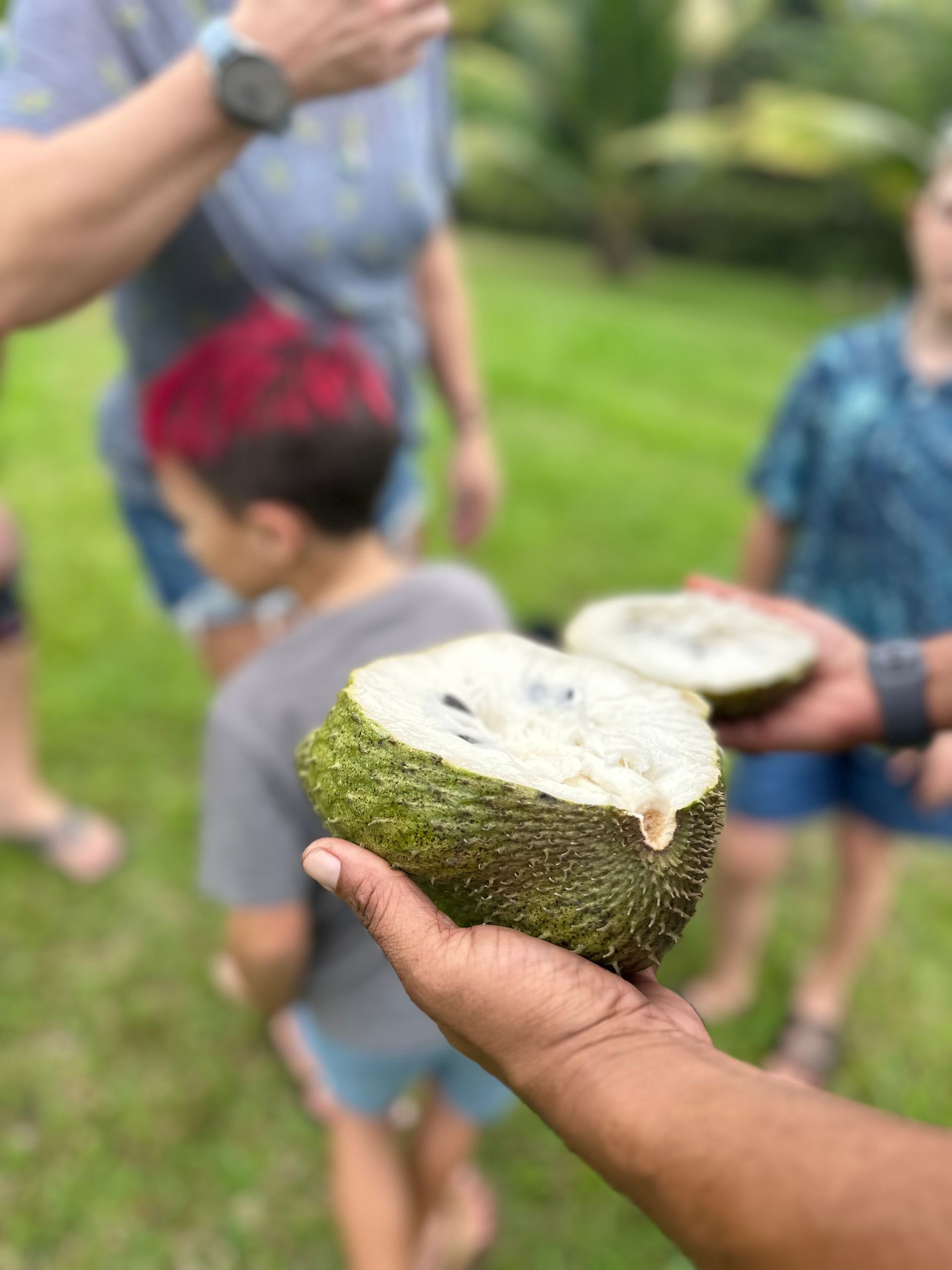 Person holding a halved, spiky green soursop fruit outdoors with other people nearby.