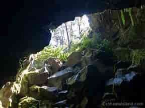 Cave opening with sunlight illuminating rocks and vegetation.