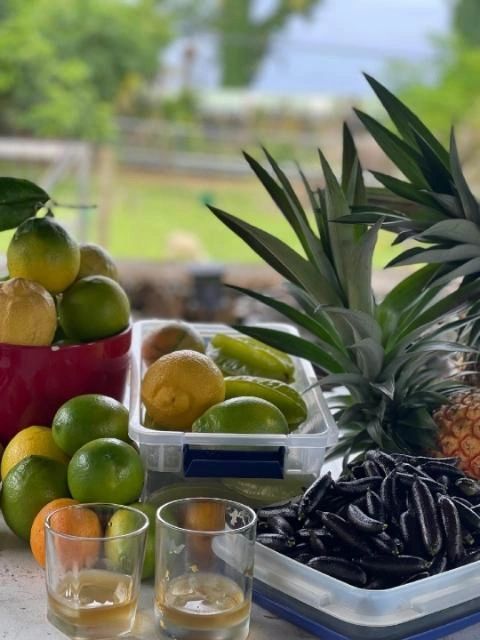 Fresh fruit selection: limes, lemons, pineapples, and a bowl of other citrus. Juice glasses in foreground.