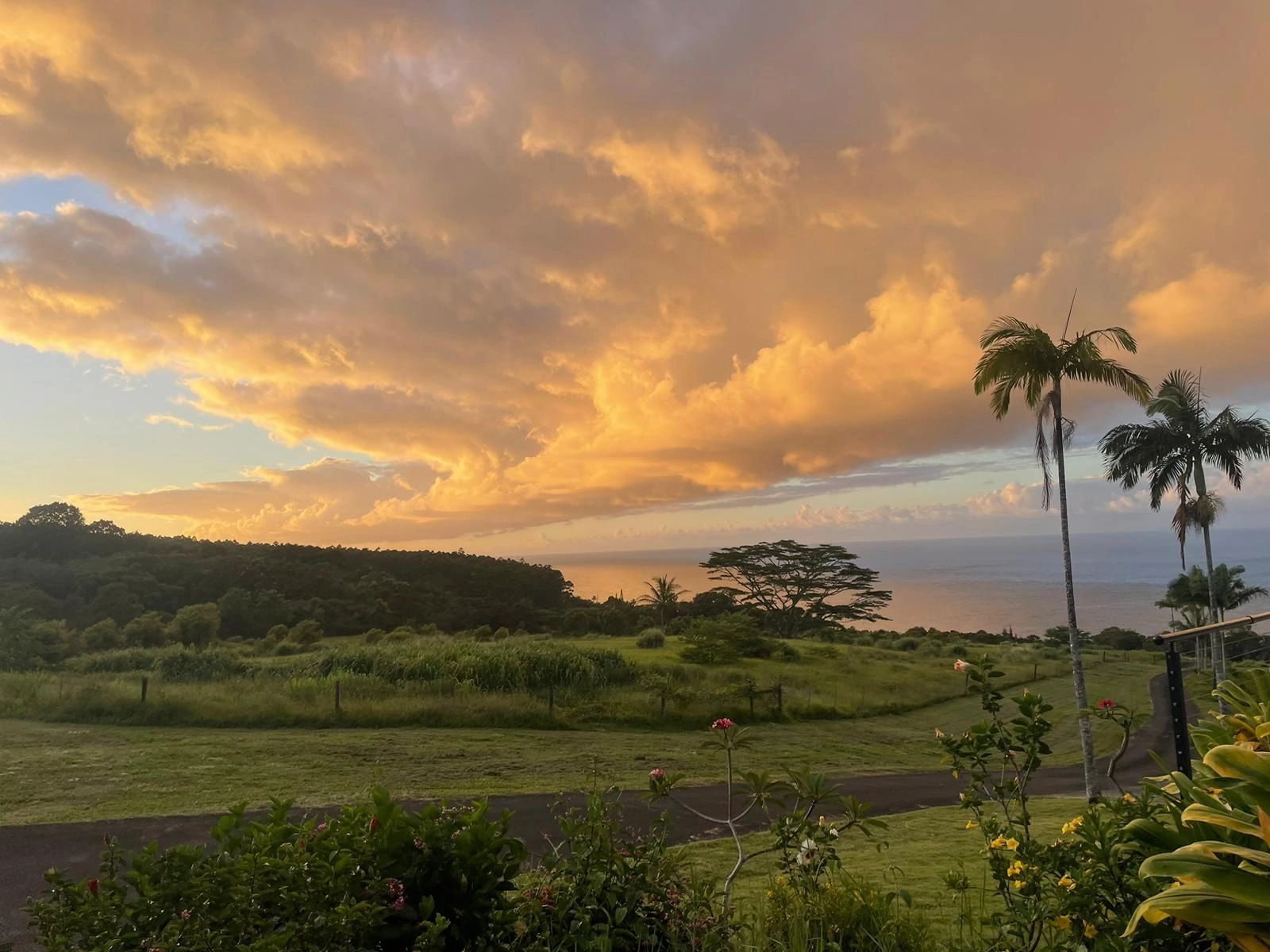Golden sunset over green hills, ocean visible, palm trees on the right.