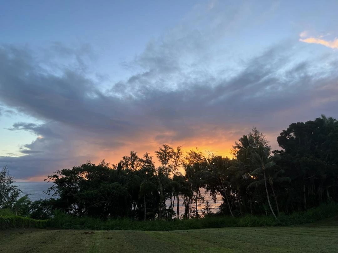 Sunset over trees and ocean, with orange and gray clouds.