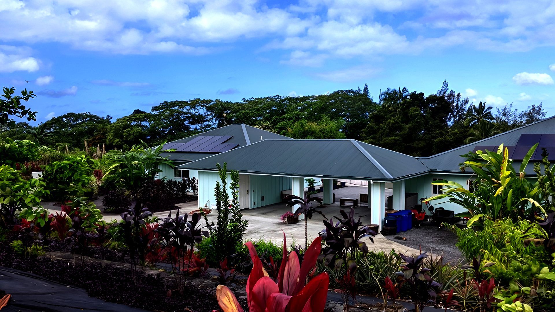 A house stands against a clear blue sky, surrounded by lush green trees in the background.