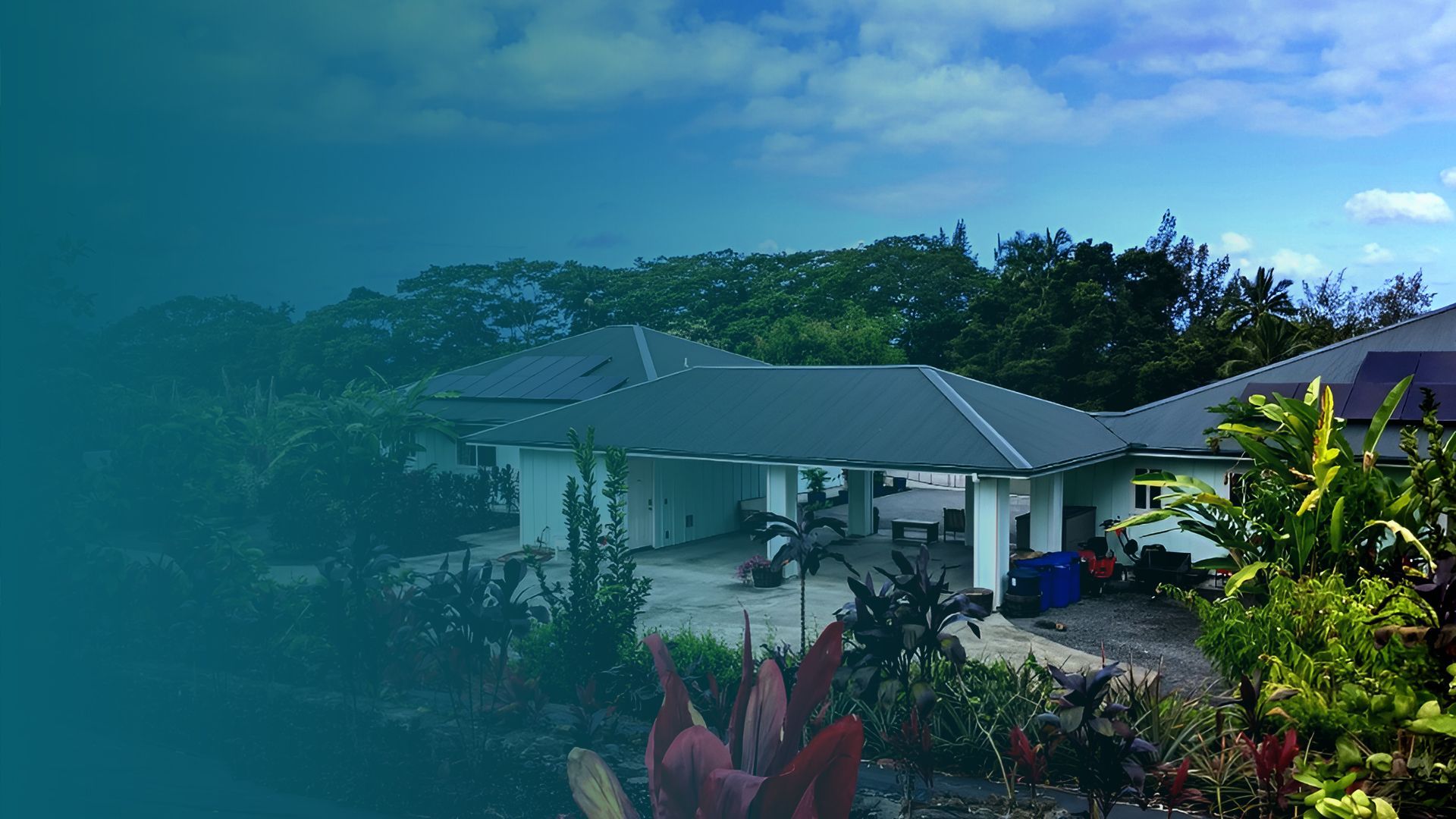 A house stands against a clear blue sky, surrounded by lush green trees in the background.