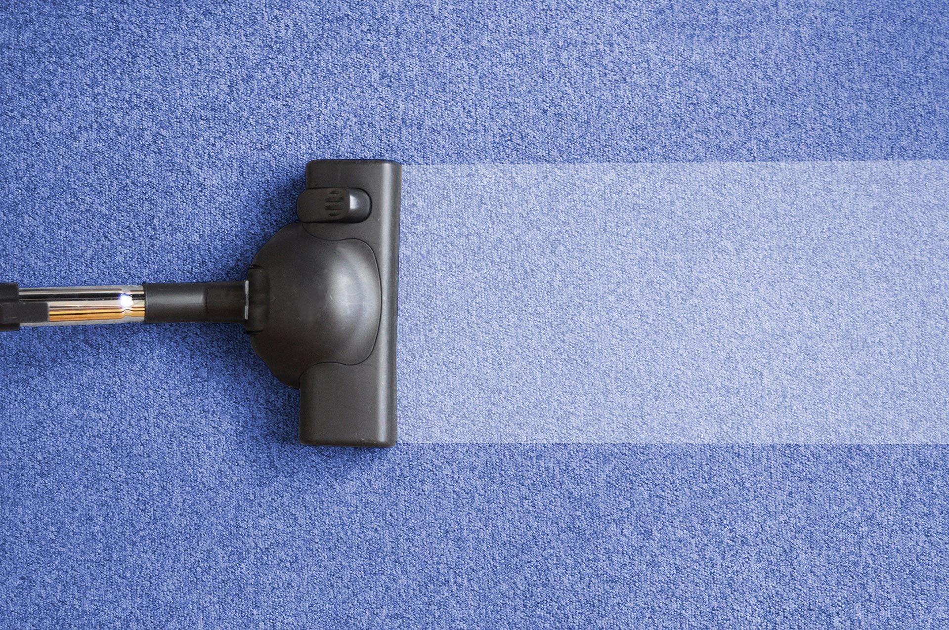 Top-down view of a purple carpet with a clean strip made by a vacuum cleaner.