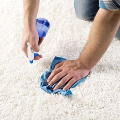 Carpet Cleaning Company Richmond Va