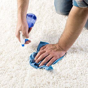 Carpet Cleaning Company Richmond Va Simply Clean