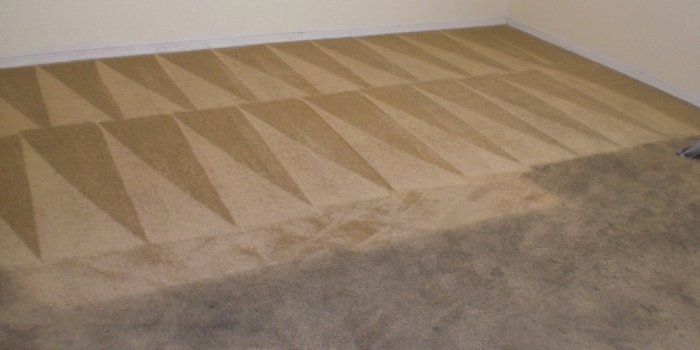 Carpet Cleaning Expert — Person Cleaning Carpet With Vacuum Cleaner in Richmond, VA
