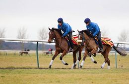 racehorses in training in Newmarket