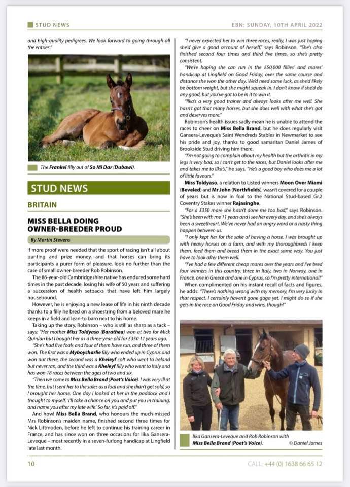 A horse is laying down in the grass with a man standing next to it.
