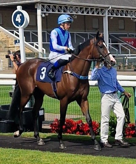 A jockey is riding a horse with the number 3 on the back