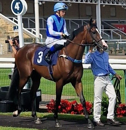 A jockey is riding a horse with the number 3 on the back