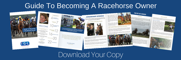 Guide to becoming a racehorse owner