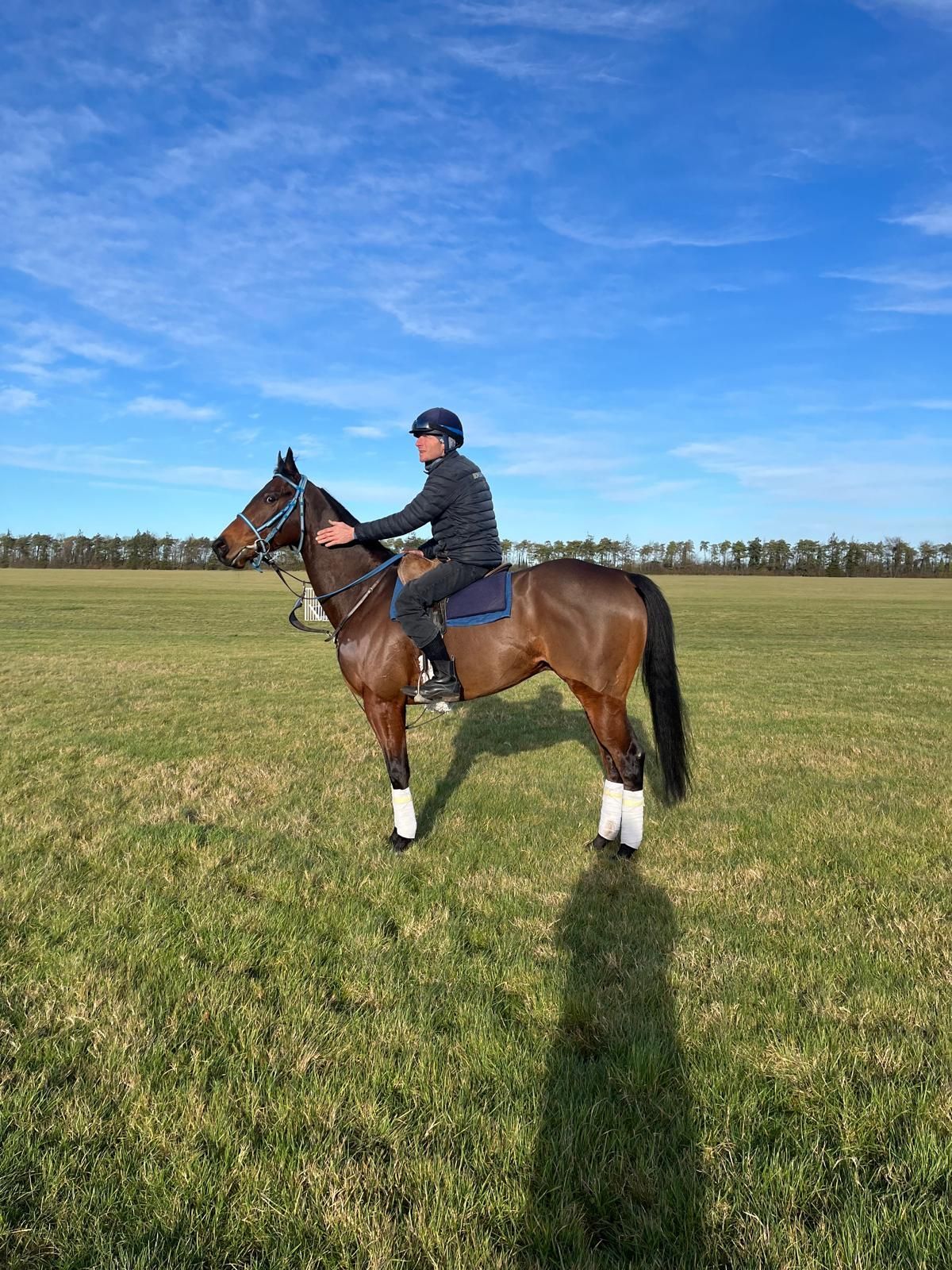 A person on a brown horse in a grassy field on a sunny day. The horse wears leg wraps and tack.