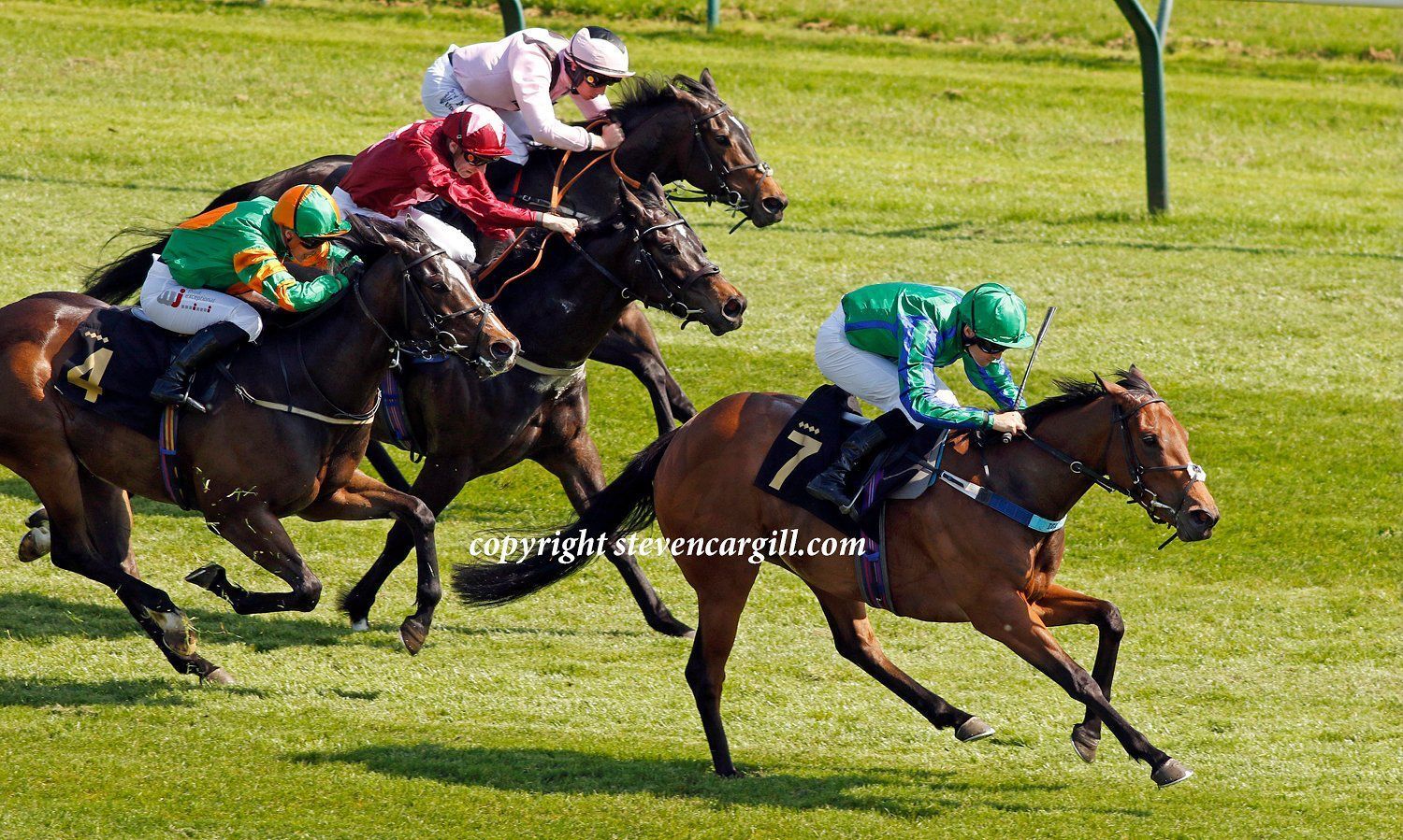 A group of horses are racing on a grassy field.