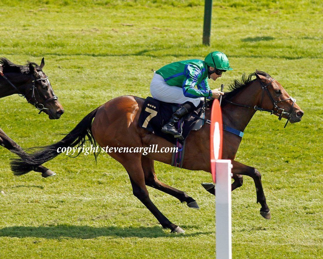 A jockey is riding a horse with the number 7 on it