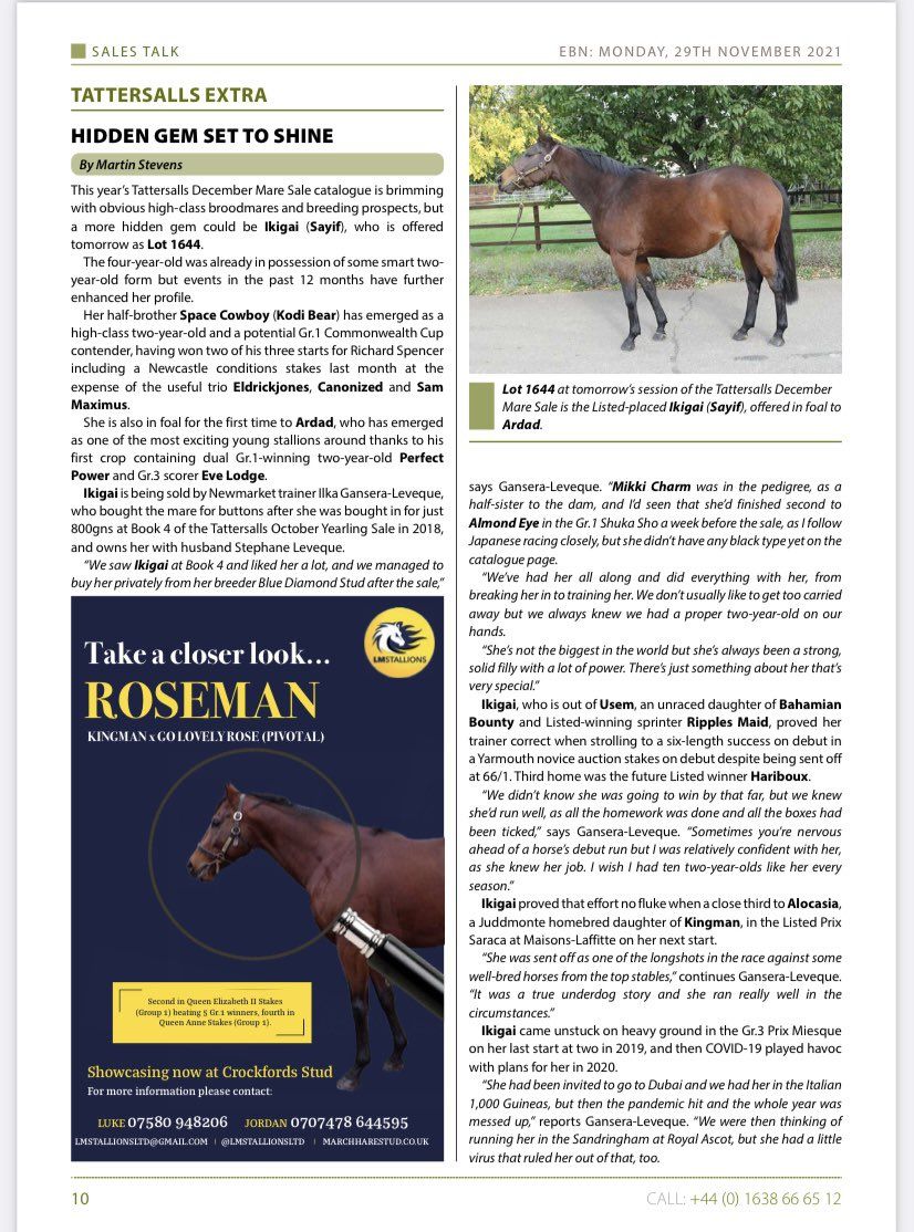 A page of a magazine with a picture of a horse on it.