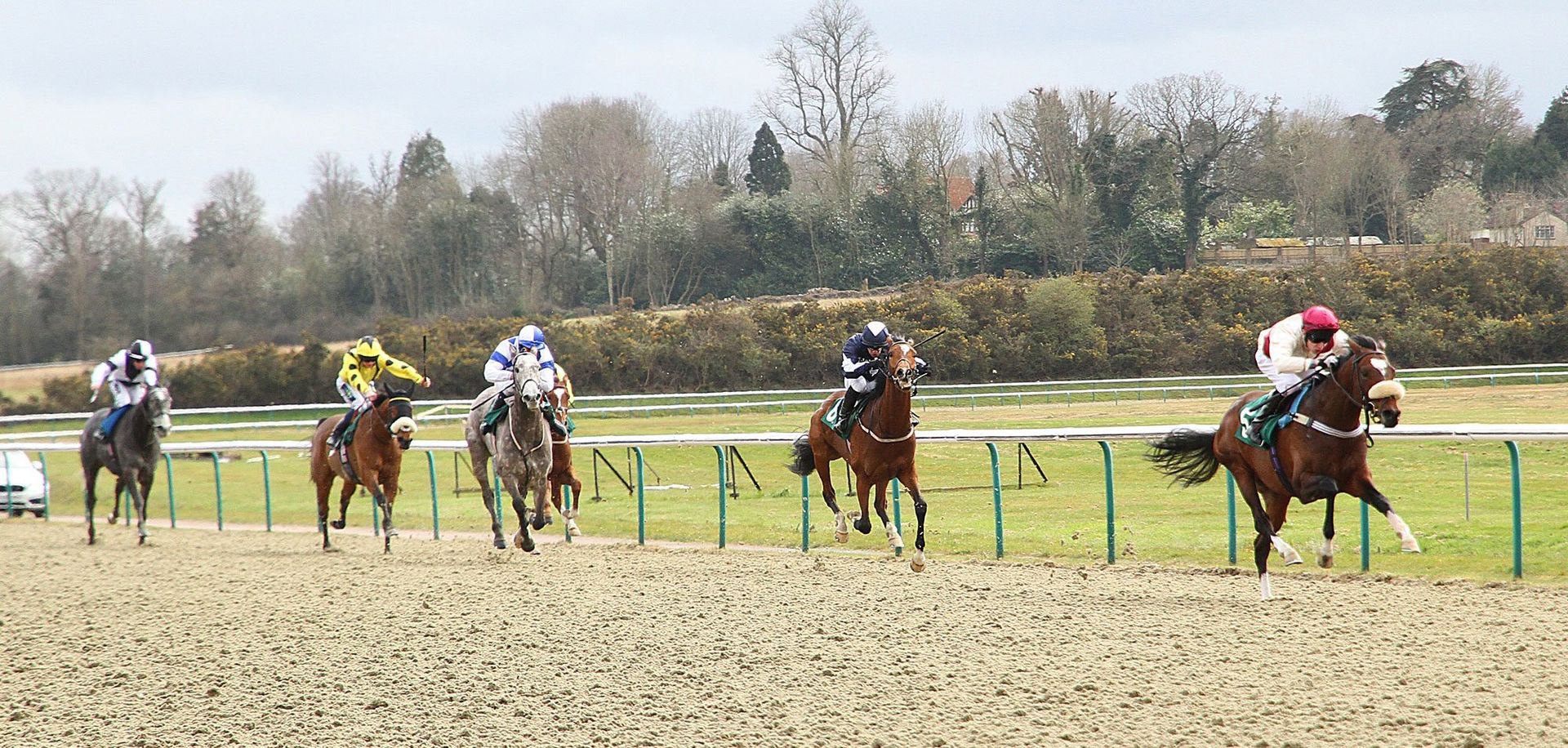 Force of Destiny wins at Lingfield Park