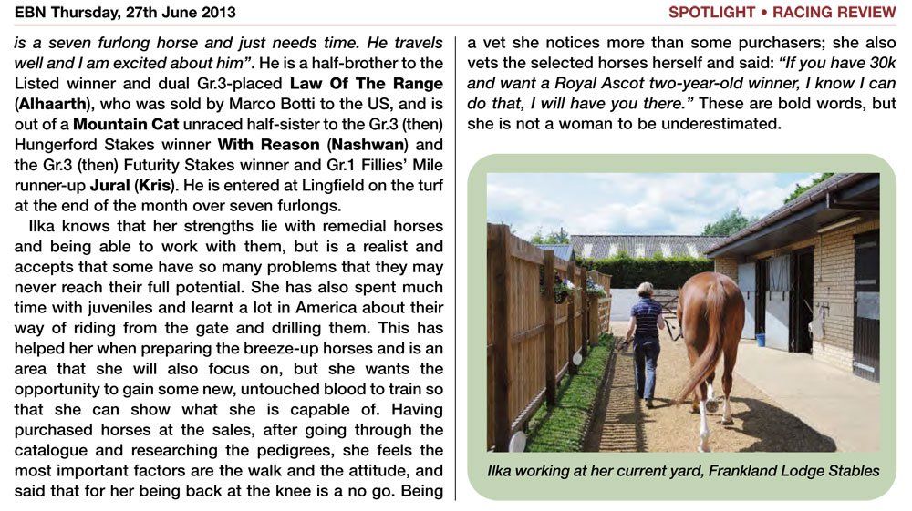 A man is standing next to a horse in a fenced in area.