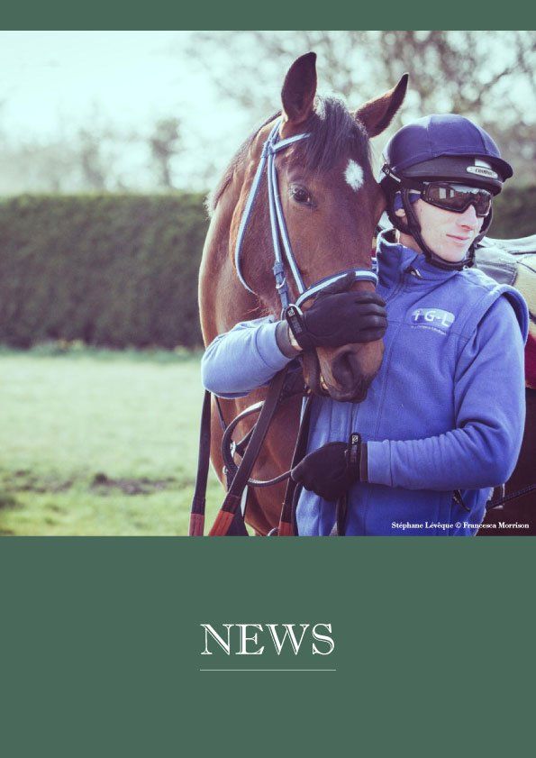 A man in a blue jacket is holding a brown horse