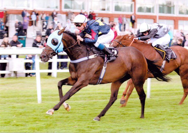 second starter second winner - Tiger Cub